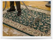 Rug Cleaning Image 3